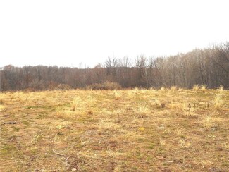 Lot 11 Factors Walk, West Bloomfield, NY 14472