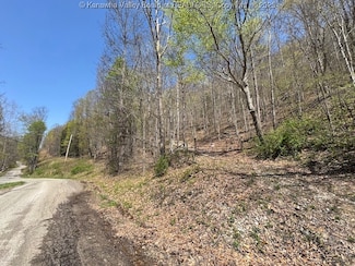 0 Blue Creek Rd, Frame, WV 25071