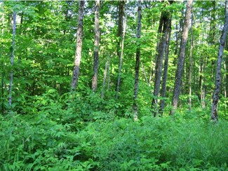 3590 Vermont 102, Brunswick, VT 05905