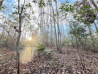 0 Bird Dog Ln Unit 25003304, Cottageville, SC 29435