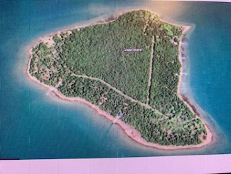 Lot 43 S Grape Island, Drummond Island, MI 49726