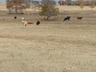 0 New Hope Rd, Marietta, OK 73448