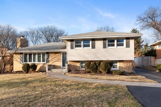 520 Bunning Dr, Downers Grove, IL 60516