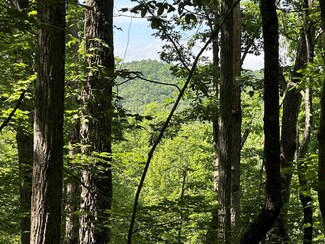 12.34 Ac Tranquility Cove Rd, Ellijay, GA 30540