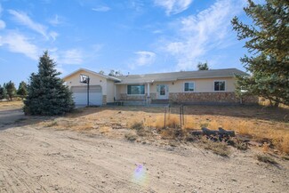 287 Flora Dr, Spring Creek, NV 89815