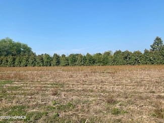 8755 Andrew Jackson Hwy SW, Cerro Gordo, NC 28430