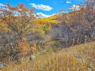 (Parcel 8) TBD Highway 65, Mesa, CO 81643