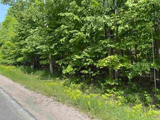 2199 Mann Rd, Cheboygan, MI 49721