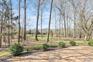 601 Pond View Ln SE, Brownsboro, AL 35741