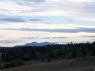 321 Buckskin Way, Como, CO 80432