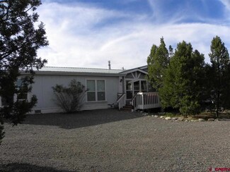 0 Mesa View Unit 699470, Arboles, CO 81121