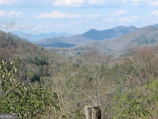 LOT 18 Wynngate Dr, Dillard, GA 30537