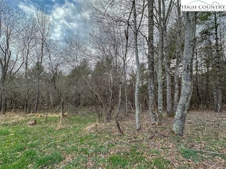 TBD Crestview Dr, Creston, NC 28615