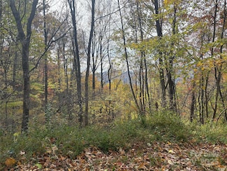 899 Hyacinth Dr, Clyde, NC 28721