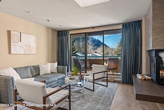 1028 E Hopkins Ave Unit 23, Aspen, CO 81611
