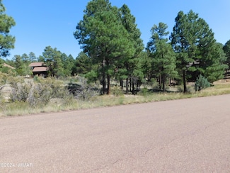 2789 Sky Hawk Dr, Overgaard, AZ 85933