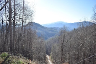 10 Ridge Place, Bryson City, NC 28713