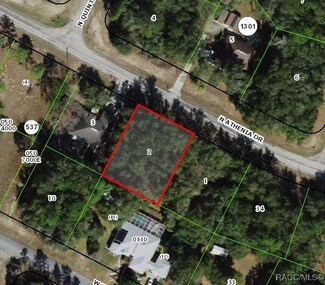 10244 N Athenia Dr, Citrus Springs, FL 34434