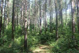 1 Highway 483, Morton, MS 39117