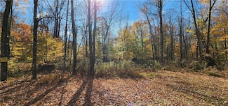 98 Wooliver Rd, Richland, NY 13144