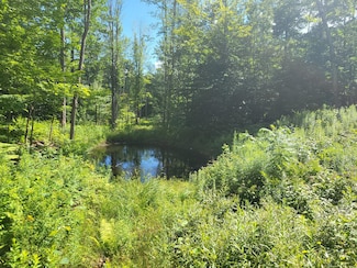 Lot39 Tripptown Rd, Hiram, ME 04041