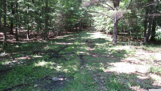 187 Deyo Rd, Cairo, NY 12413