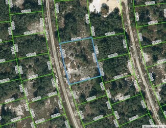 223 Blue Sky Dr, Lake Placid, FL 33852