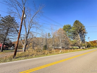 0 Olcott Rd N, Big Flats, NY 14814