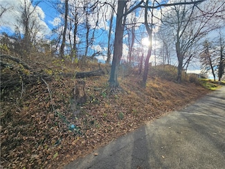 Lot 10-11 Arch Ave, Monessen, PA 15062