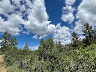 433 Echo Ln, Pagosa Springs, CO 81147