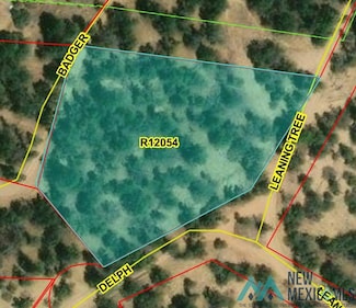 Lot 221 Delph Ct, Candy Kitchen, NM 87321