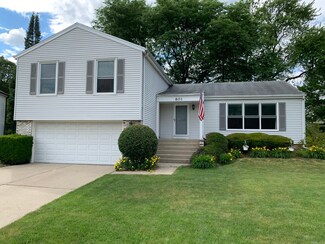 801 Heatherdown Way Unit 2, Buffalo Grove, IL 60089
