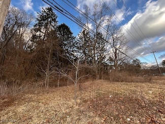 2021 Akron Peninsula Rd, Akron, OH 44313