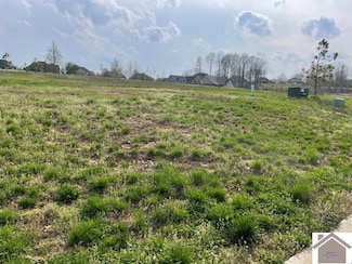 120 Low Ridge Ln, Paducah, KY 42003