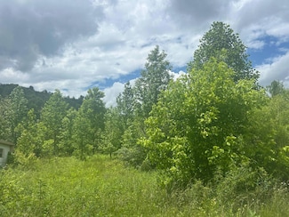 9999 Hubbs Hollow Rd, Rockholds, KY 40759
