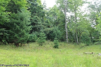TBD Knotty Pine Dr, Parsons, WV 26287