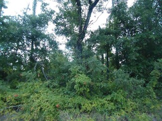 28 Little Bud Ln, Cochran, GA 31014