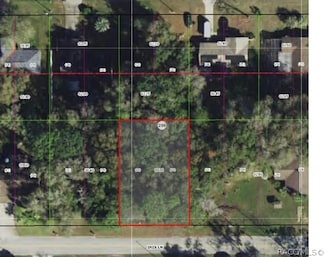 110 Iris Ln, Inverness, FL 34452