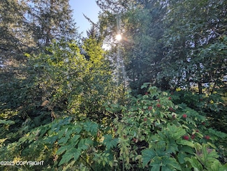 421 Soundview Ave, Homer, AK 99603