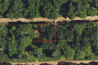 0000 River St, Coldspring, TX 77331