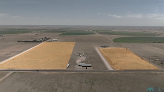 000 TBD Bigler Addition Block 2 Lot 2 Rd, Portales, NM 88130
