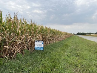 Newburg Rd, Argenta, IL 62501