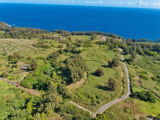 45-5060 Nanaina Kai Rd, Honokaa, HI 96727