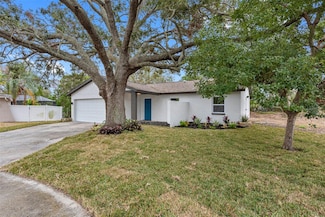 1399 Grapeleaf Ct, Tarpon Springs, FL 34689