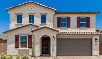Elderberry, Laveen, AZ 85339