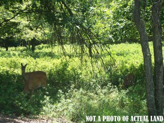 A428 Kip Kipling Ln, Albrightsville, PA 18210