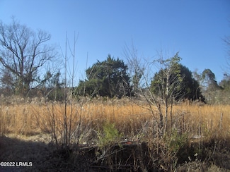 Tbd Barwick Rd, Barnwell, SC 29812
