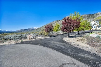 155 Diamondview, Markleeville, CA 96120