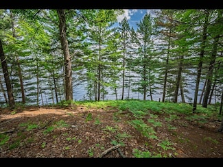 Lot 134 Clearwater Lake Trail, Three Lakes, WI 54521