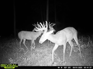 0 N County Line Rd, Sylvester, GA 31791